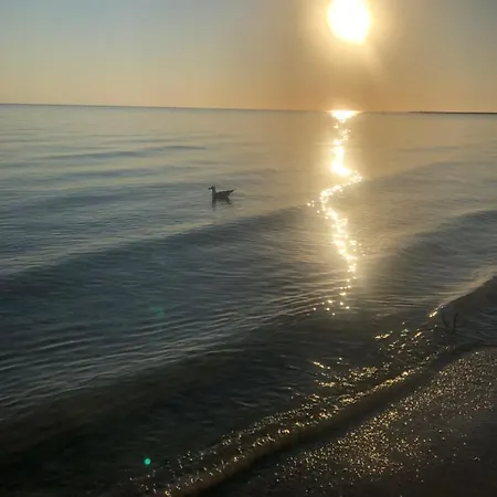 Primera Linea De Playa A 1km Del Puerto De Apartamento *
