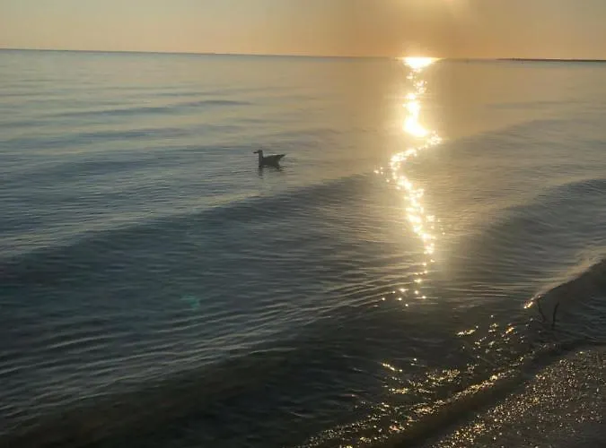 Primera Linea De Playa A 1km Del Puerto De Apartment *